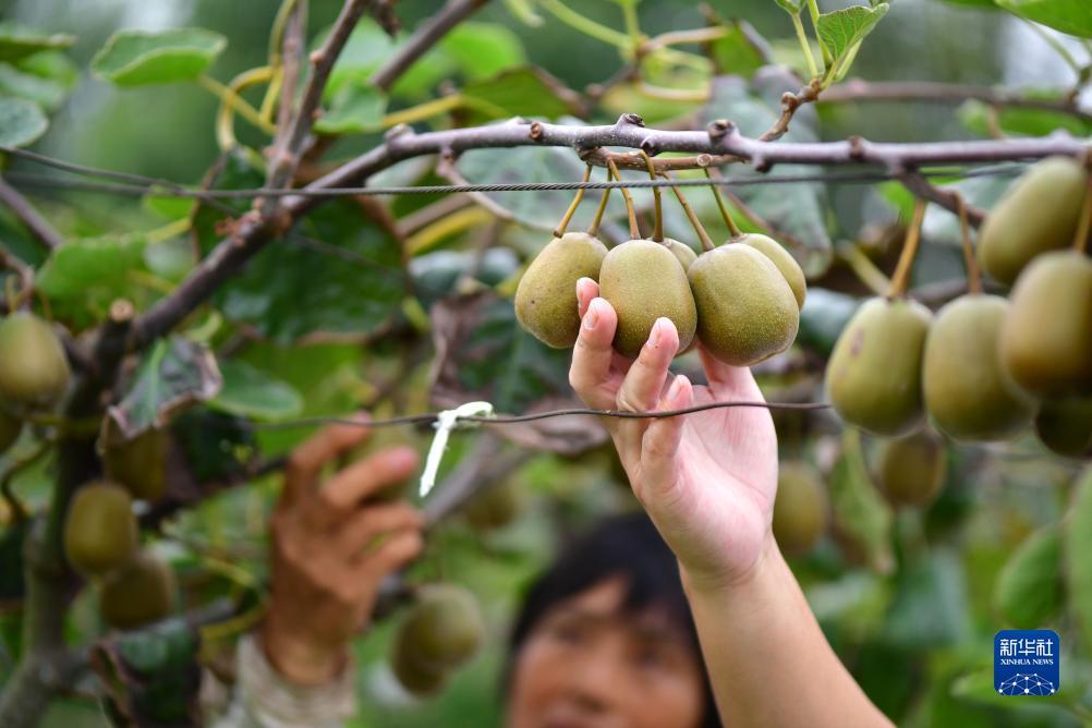 下载注册送6元
